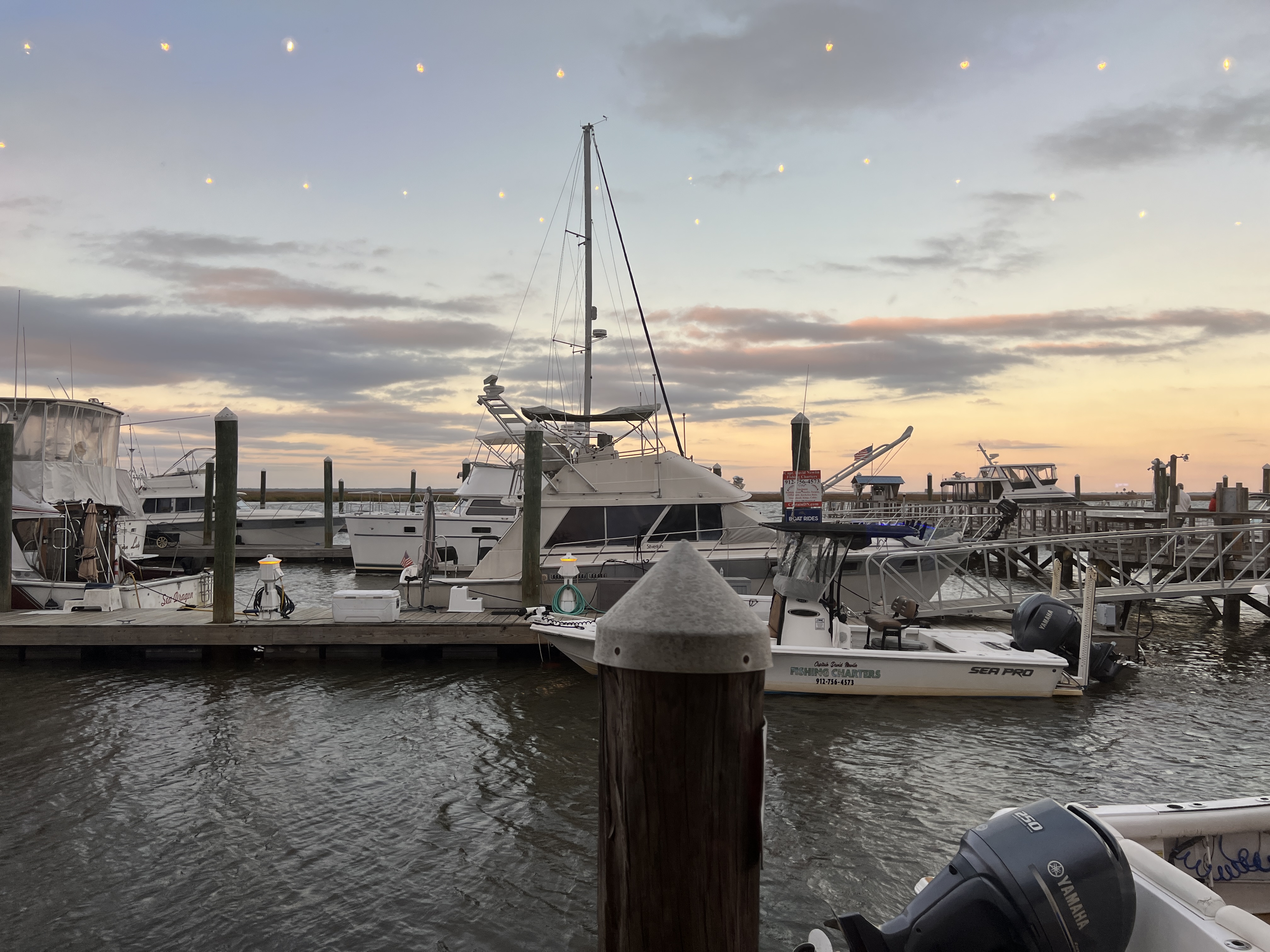 ./2025/13 - Thanksgiving/IMG_7843.JPG